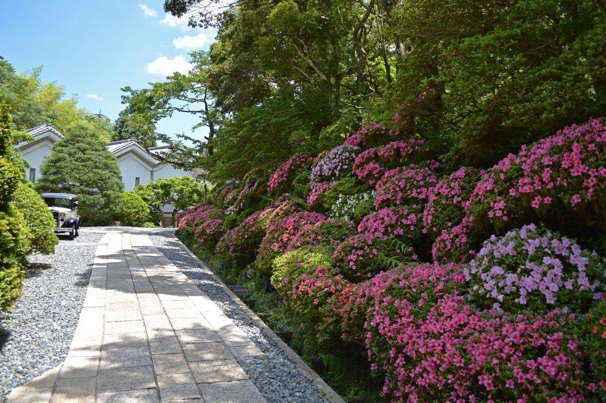 東府や Resort&Spa - Izu 伊豆市 エクステリア 写真